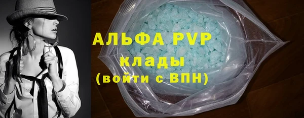 крисы Алзамай