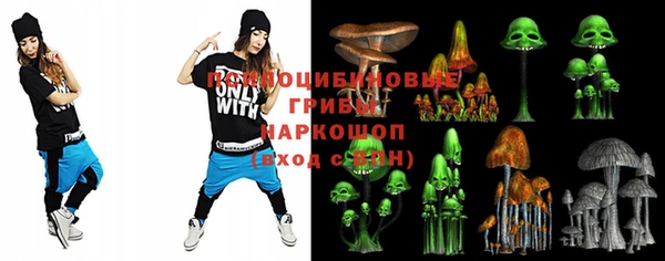 крисы Алзамай