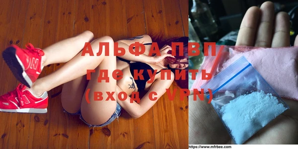 крисы Алзамай