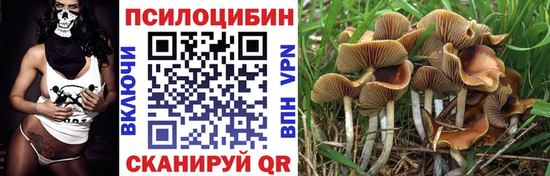 Псилоцибиновые грибы мухоморы даркнет сайт KRAKEN ССЫЛКА Воткинск