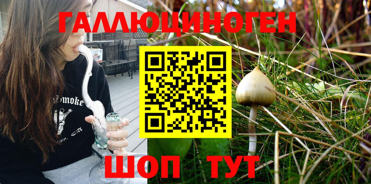 Псилоцибиновые грибы MAGIC MUSHROOMS  Галлюциногенные грибы Psilocybine cubensis  Вход с VPN  Воткинск 